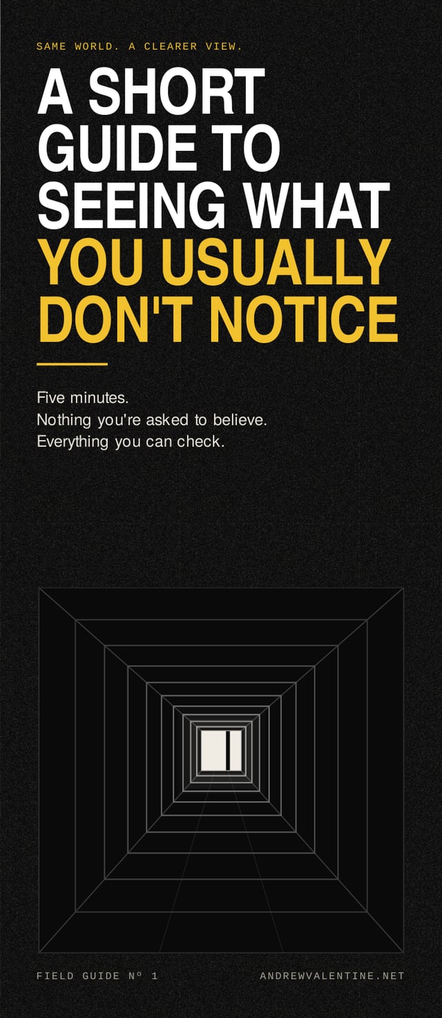 The printed front cover of Field Guide Nº 1: A Short Guide to Seeing What You Usually Don't Notice.